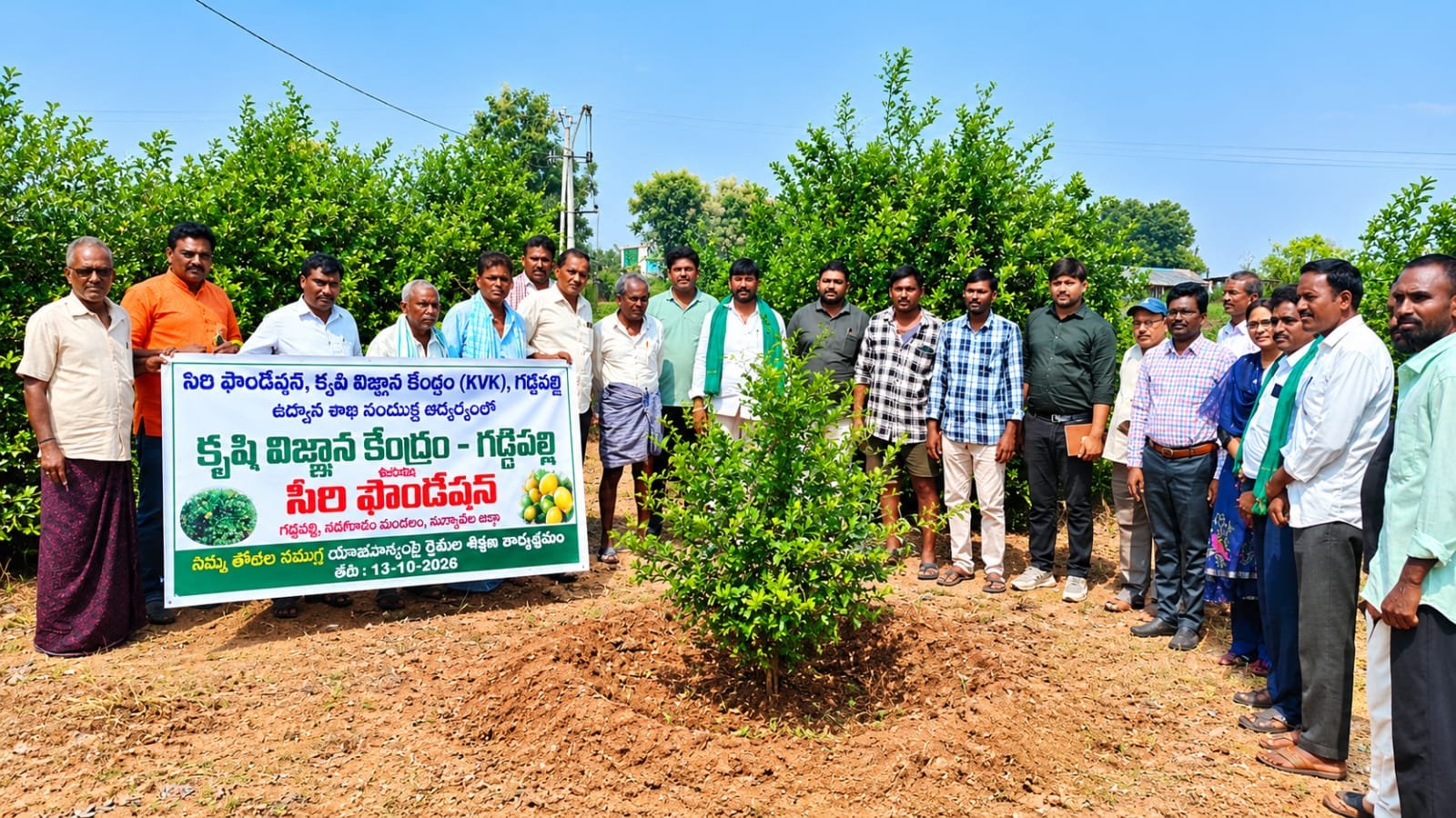 నిమ్మ తోటల యాజమాన్యంపై రైతులకు శిక్షణ  అధిక దిగుబడులు, నాణ్యమైన పండ్ల ఉత్పత్తికి శాస్త్రీయ పద్ధతులు పాటించాలి - Additional Image